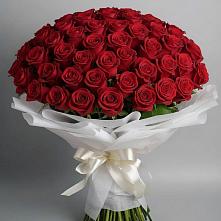 Букет 101 Красная роза Блэк Мэджик в Дружбе