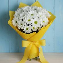 Букет цветов из:  Хризантемы в Дружбе