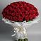 Букет 101 Красная роза Блэк Мэджик в Дружбе