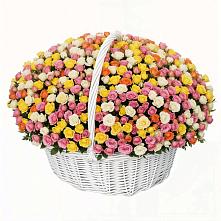 Премиум букет из: Розы в Дружбе