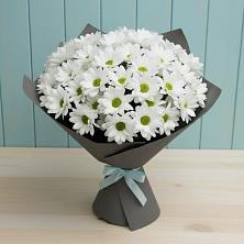 Букет цветов из:  Хризантемы в Дружбе