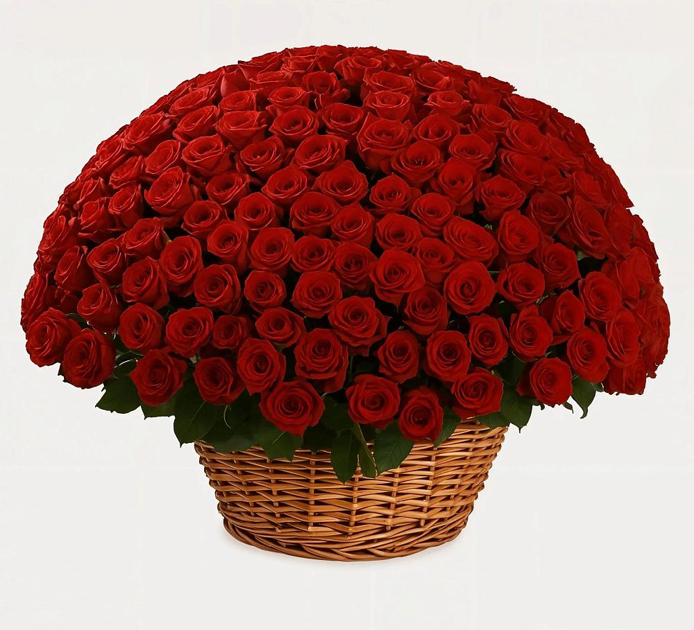 Премиум букет из: Розы в Дружбе