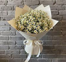 Букет цветов из:  Ромашки в Дружбе
