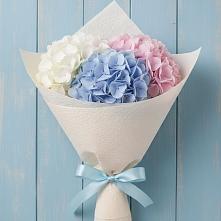 Букет цветов из:  Гортензия в Дружбе