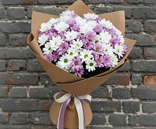 Букет цветов из:  Хризантемы в Дружбе