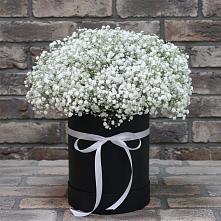 Цветочная композиция из Гипсофила в шляпной коробке в Дружбе