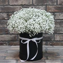 Цветочная композиция из Гипсофила в шляпной коробке в Дружбе