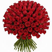 Букет Красные розы Чери Лав в Дружбе
