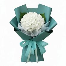 Букет цветов из:  Гортензия в Дружбе